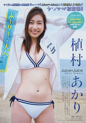 [Revista joven] Akari Uemura Yume Hayashi 2018 No.31 Fotografía