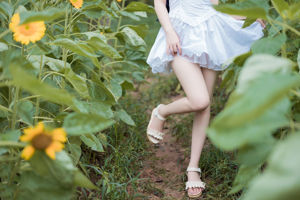 [หนังแมวเหมียว] VOL.414 Shima Aoi Garden White Dress